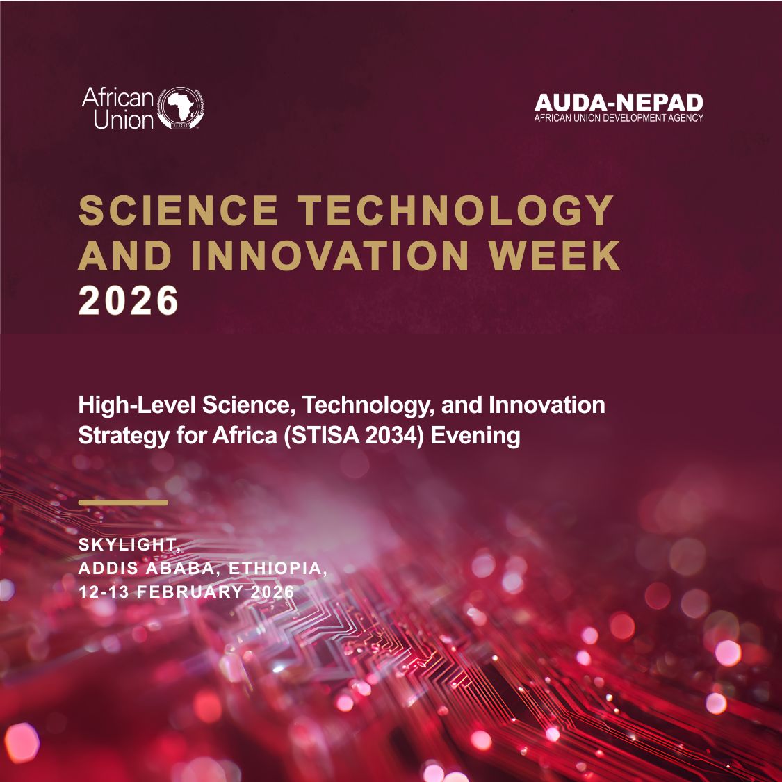 High-Level Science, Technology, and Innovation Strategy for Africa (STISA) Evening
